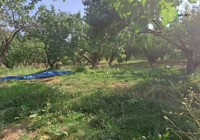 Գյուղատնտեսական հողատարածք Զովքում, 1700 ք.մ.