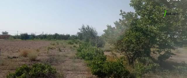 Գյուղատնտեսական հողատարածք Շենգավիթում, 3300 ք.մ.