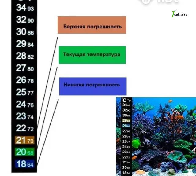 LCD термометр полоска