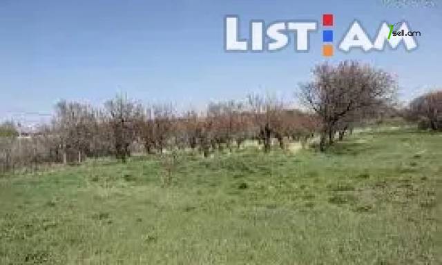 Հողատարածք բնակելի շինությունների համար Զովունի 16 փողոցում Զովունիում, 2000 ք.մ.