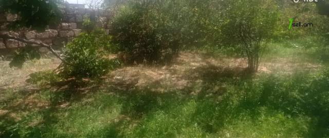 Հողատարածք բնակելի շինությունների համար Քասախում, 920 քմ