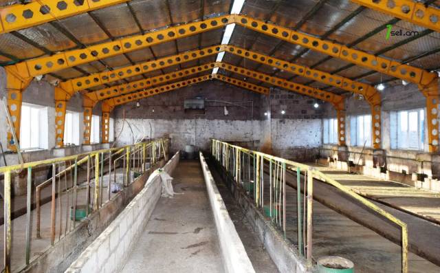 Գյուղատնտեսական գույք Ազատանում, 5060 քմ