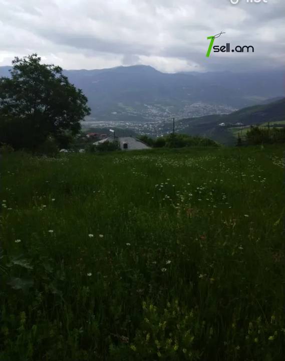 Տնամերձ հողամաս 