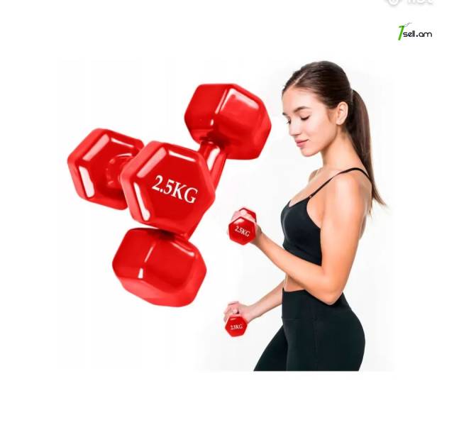 Գանտել 2x2,5կգ - Կոդ-10197 / Гантель 2x2,5 кг