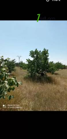 Գյուղատնտեսական հողատարածք Ձորաղբյուրում, 13,400 քմ