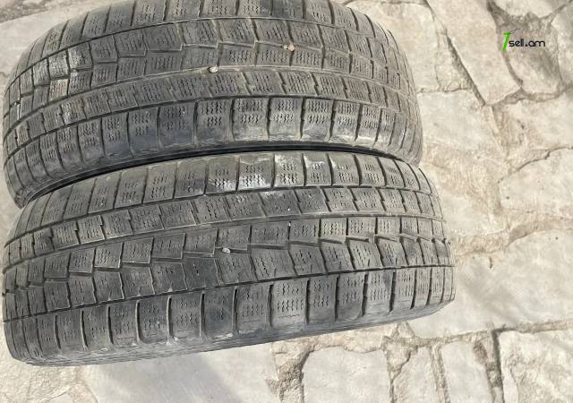 GGG. Dunlop 195 / 65 / r15 2hat