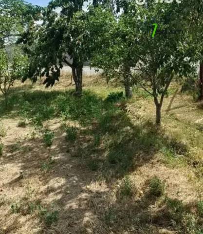 Հողատարածք բնակելի շինությունների համար Մայակովսկիում, 1000 ք.մ.