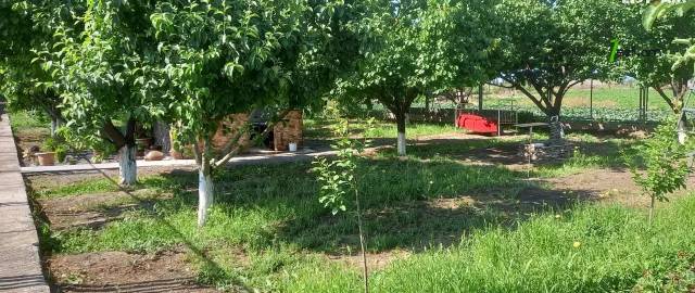 Մեկ հարկանի քարե տուն Ղուկասավանում, 2000 ք.մ., մեծ հողամաս, կապիտալ վերանորոգված