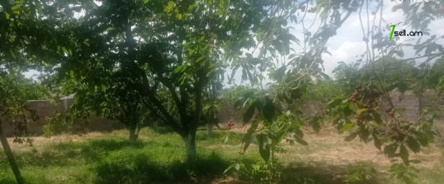 Հողատարածք բնակելի շինությունների համար Քասախում, 920 քմ