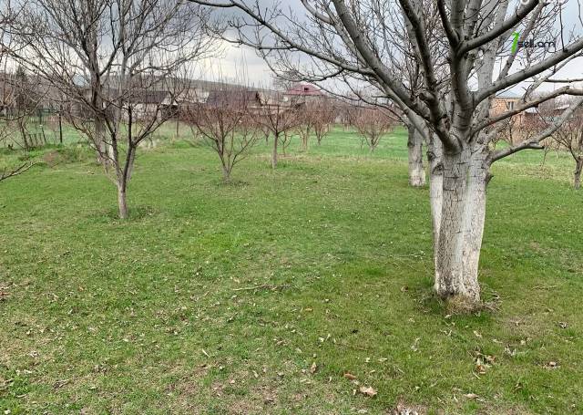 Հողատարածք բնակելի շինությունների համար Նոր Գյուղում, 2000 քմ