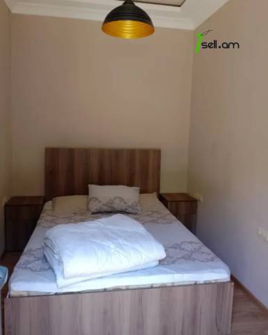 Ընդարձակ 1 սենյականոց բնակարան Պուշկինի փողոցում, 54 ք.մ., բարձր առաստաղներ, 2/4 հարկ