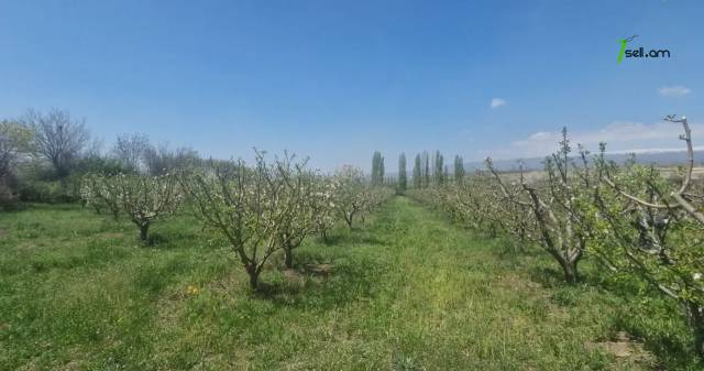 Գյուղատնտեսական հողատարածք Ճանապարհորդ Լինչի փողոցում Աշտարակում, 10,000 ք.մ.