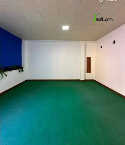 Բազմաֆունկցիոնալ գույք Գլինկայի փողոցում Էրեբունիում, 170 քմ