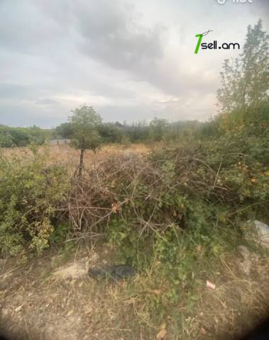 Հողատարածք բնակելի շինությունների համար 1-ին փողոցում Նուռնուսում, 500 ք.մ.