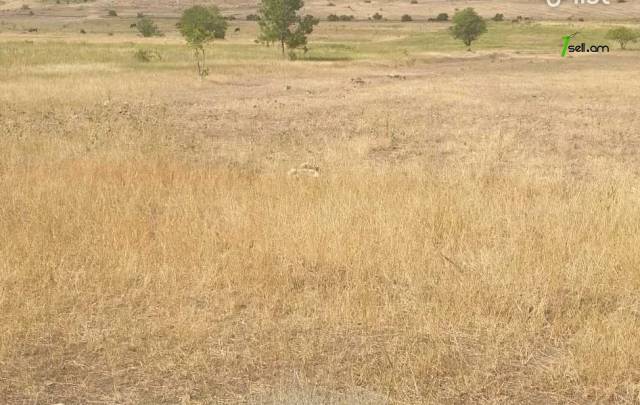 Գյուղատնտեսական հողատարածք Զովունիում, 3545 ք.մ.