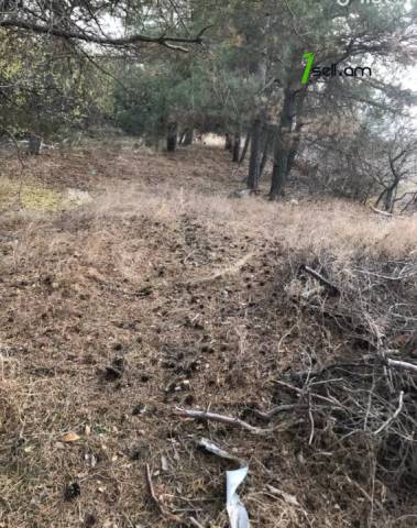 Գյուղատնտեսական հողատարածք Աբովյանում, 12,500 ք.մ.