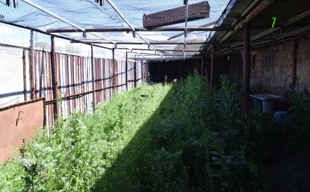 Արտադրական տարածք Դուդկոյի փողոցում Գյումրիում, 1190 ք.մ.
