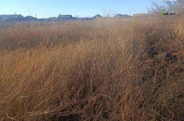 Երկու հարկանի քարե տուն, Միքայել Նալբանդյան փողոցի 1-ին նրբանցք Նալբանդյանում, 360 ք.մ.