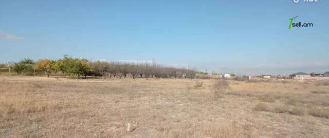 Գյուղատնտեսական հողատարածք Զովունիում, 4000 քմ