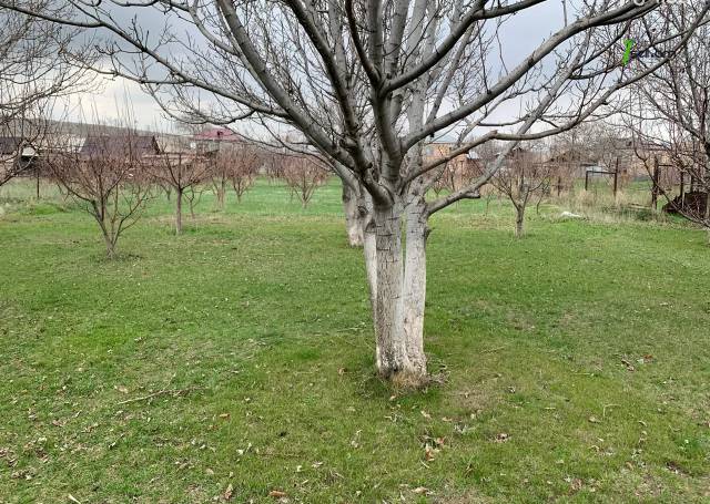 Հողատարածք բնակելի շինությունների համար Նոր Գյուղում, 2000 քմ