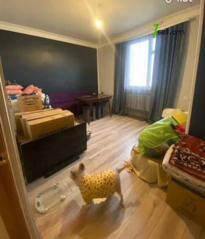 3 սենյականոց բնակարան, Թբիլիսյան խճուղի, 79 ք.մ., 12/16 հարկ, կապիտալ վերանորոգված