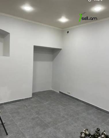 Գրասենյակային տարածք, Սախարովի հրապարակ կենտրոնում, 66 ք.մ.