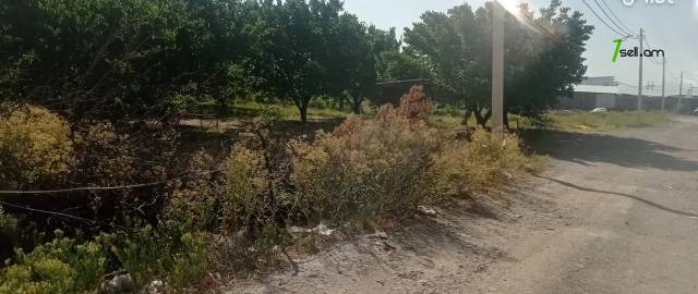 Գյուղատնտեսական հողատարածք Շենգավիթում, 3300 ք.մ.