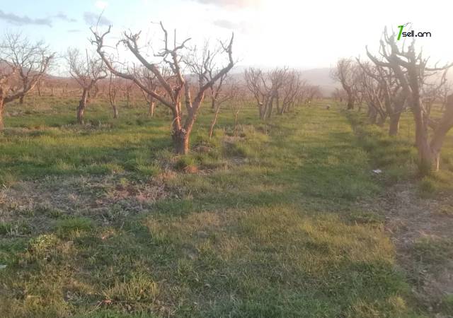 Գյուղատնտեսական հողատարածք Աշտարակում, 5000 ք.մ.