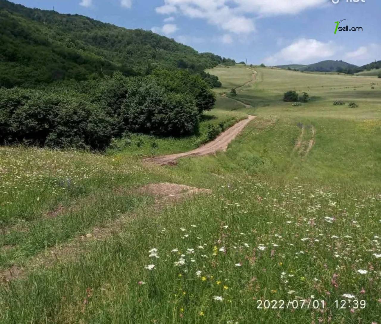 հողատարածք 