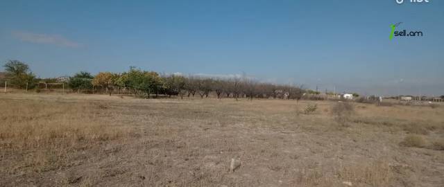 Գյուղատնտեսական հողատարածք Զովունիում, 4000 քմ