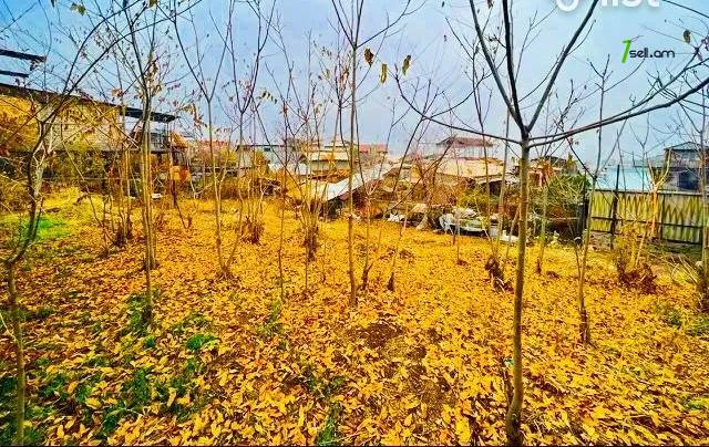 Հողատարածք բնակելի շինությունների համար Էրեբունու փողոցում Էրեբունիում, 580 քմ