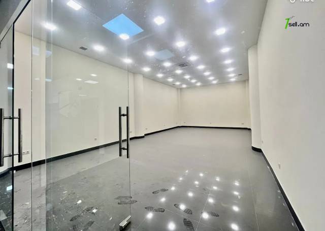 Բազմաֆունկցիոնալ գույք Սայաթ-Նովայի պողոտայում կենտրոնում, 55 ք.մ.