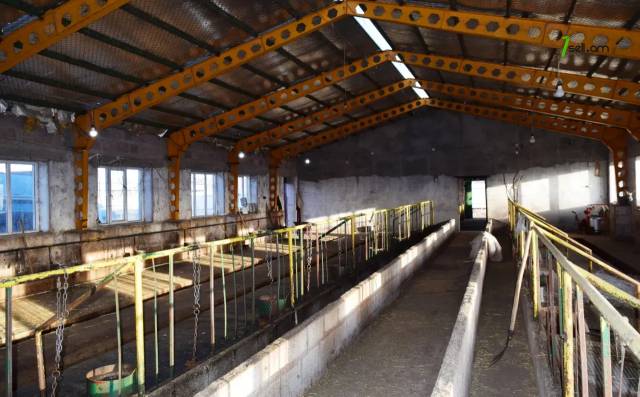 Գյուղատնտեսական գույք Ազատանում, 5060 քմ