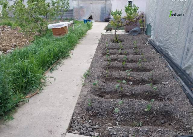 Հողատարածք բնակելի շինությունների համար Քանաքեռավանում, 1250 ք.մ.