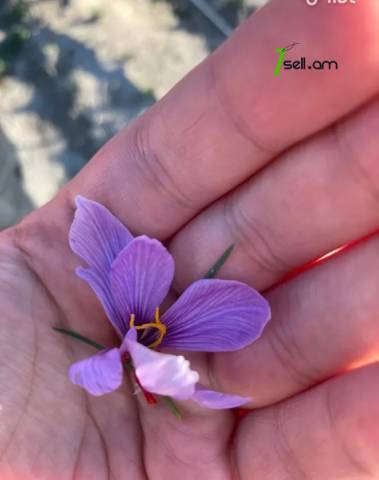 Հողատարածք բնակելի շինությունների համար Վեդիում, 40,000 ք.մ.