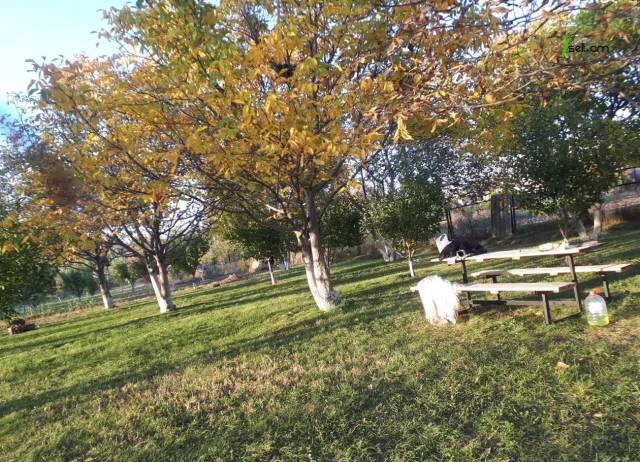 Հողատարածք բնակելի շինությունների համար Նոր Գյուղում, 2000 քմ