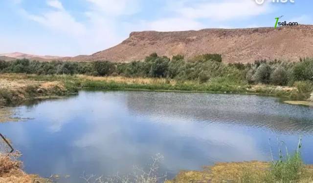 Հողատարածք բնակելի շինությունների համար Վեդիում, 40,000 ք.մ.