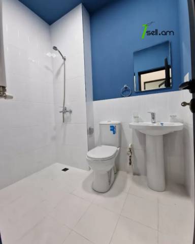 Բազմաֆունկցիոնալ գույք Արշակունյաց պողոտայում կենտրոնում, 270 ք.մ.