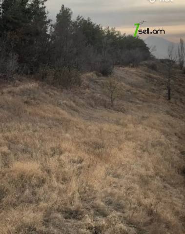 Գյուղատնտեսական հողատարածք Աբովյանում, 12,500 ք.մ.