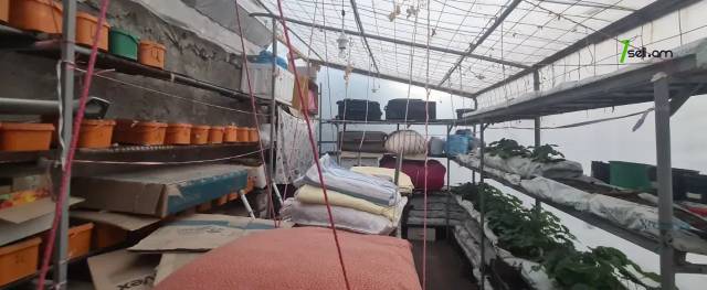 3 սենյականոց բնակարան, Դավթաշեն 3-րդ թաղամաս, 85 ք.մ., 1/3 հարկ, բարձր առաստաղներ