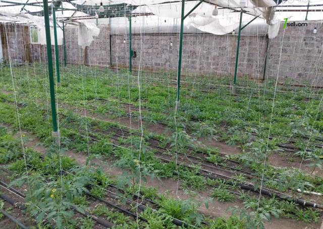 Հողատարածք բնակելի շինությունների համար Քանաքեռավանում, 1250 ք.մ.