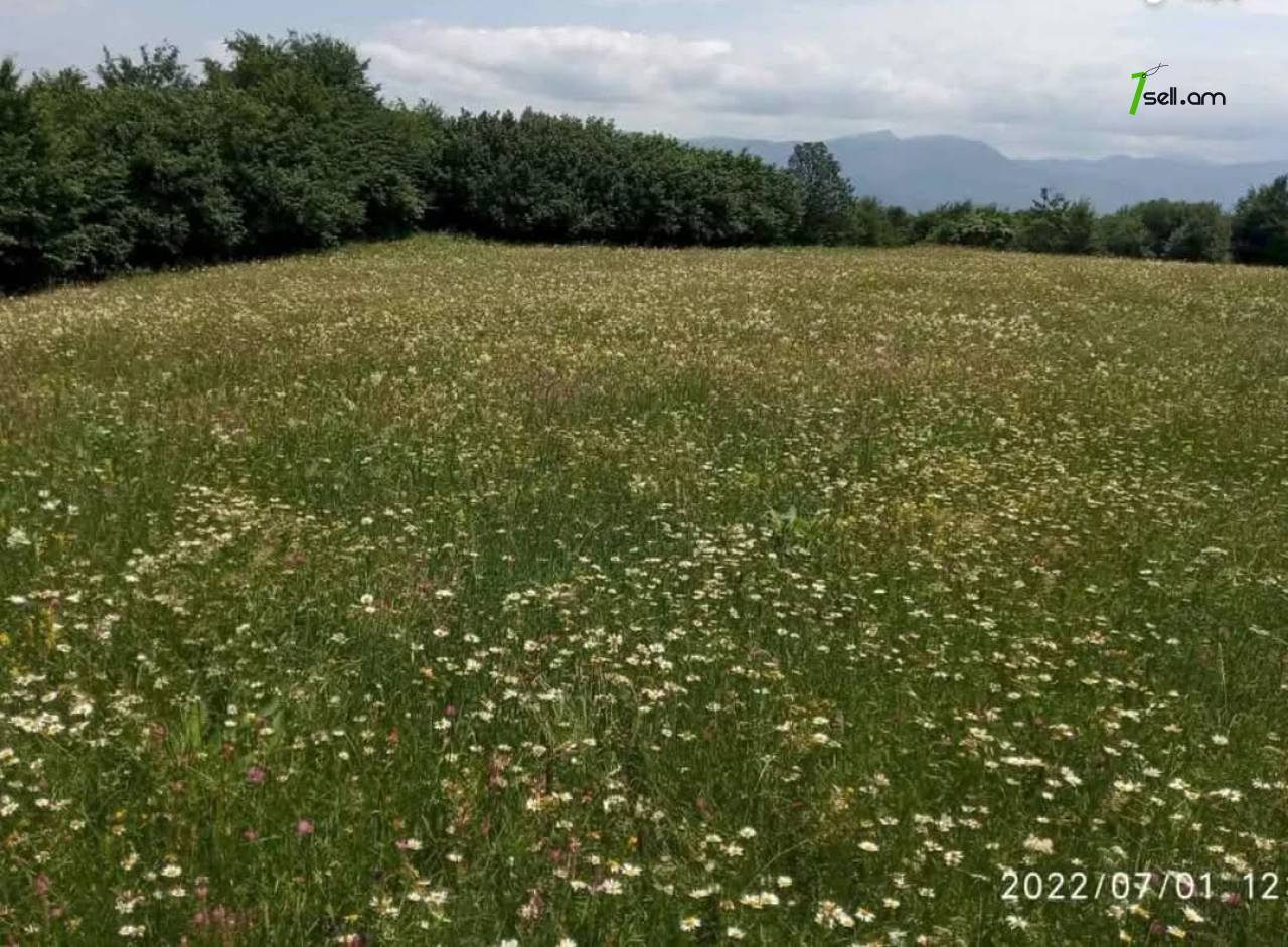 հողատարածք 