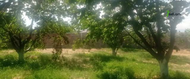 Հողատարածք բնակելի շինությունների համար Քասախում, 920 քմ