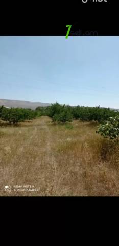 Գյուղատնտեսական հողատարածք Ձորաղբյուրում, 13,400 քմ