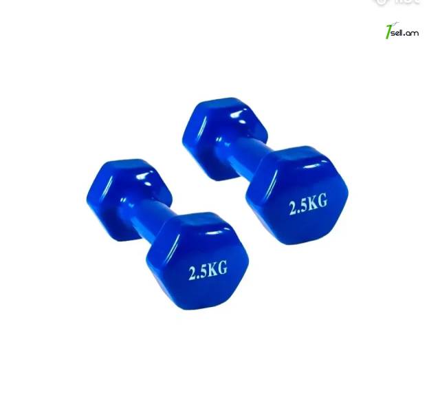 Գանտել 2x2,5կգ - Կոդ-10197 / Гантель 2x2,5 кг