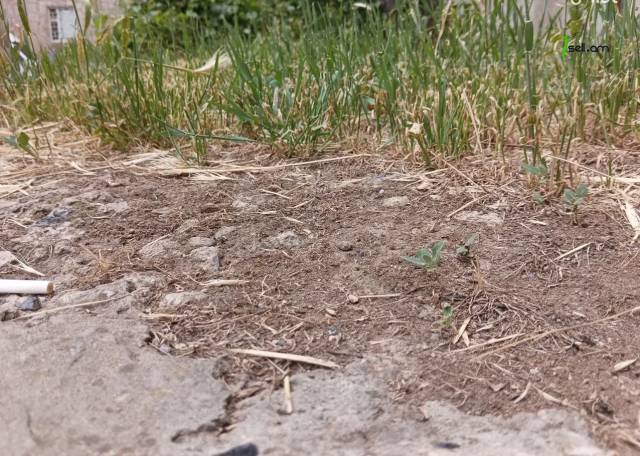 Հողատարածք բնակելի շինությունների համար Մհեր Մկրտչյան թաղ. 1-ին փողոցում Ավանում, 8000 ք.մ.