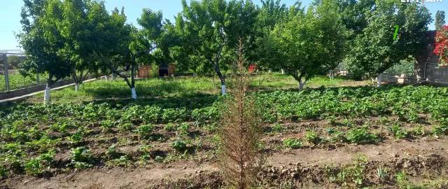 Մեկ հարկանի քարե տուն Ղուկասավանում, 2000 ք.մ., մեծ հողամաս, կապիտալ վերանորոգված