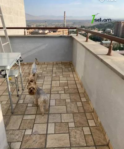 3 սենյականոց բնակարան նորակառույց շենքում Մամիկոնյանց փողոցում, 115 քմ, 2 սանհանգույց