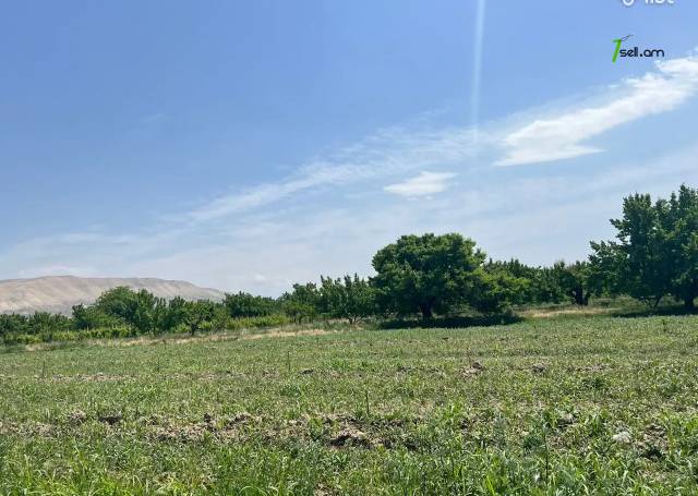 Հողատարածք բնակելի շինությունների համար 2-րդ փողոցում Մրգաշենում, 1440 քմ