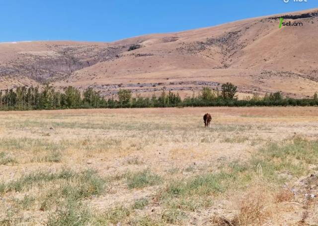 Գյուղատնտեսական հողատարածք 1-րդ փողոցում Աբովյանում, 10,000 ք.մ.